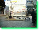 deck ilsan dunkin0055.jpg